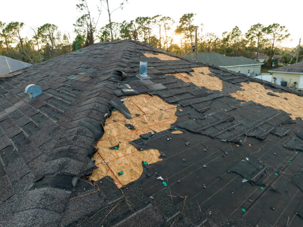 Roof Moss and Algae Removal in Prosperity, SC